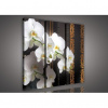 Obraz na plátne viacdielny - OB3151 - Biela orchidea čierny vzor 90cm x 80cm - S6