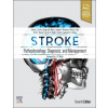 Gregory W. Albers,Joseph P. Broderick - Stroke