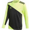 adidas Squadra 21 Goalkeeper Jersey GN5795