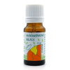 Mandarinková silica 10ml Hanus