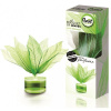 Brait bouquet green diamond 50 ml