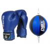Boxingové rukavice DBX Bushido 407v4-Presentset 6 oz (Chránič Tibia a namontované nohy l)