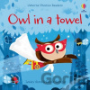 Owl in a Towel - Lesley Sims