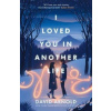 I Loved You In Another Life - David Arnold