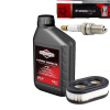 Vzduchový filter B&S OHV 500+RC12YC+Briggs Oil (Vzduchový filter B&S OHV 500+RC12YC+Briggs Oil)