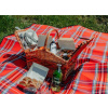 Piknik vo vinohrade pre dvoch - okr. Nové Zámky