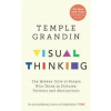 Visual Thinker