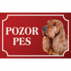 Anglický kokeršpaniel - Kovová tabuľka POZOR PES