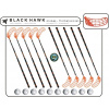 Set MPS Black Hawk (10 hokejok + 10 loptičiek)