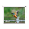 AVELI Elektrické projekčné plátno AVELI, 305x229 (4:3) 150'' XRT-00177