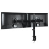ARCTIC Z2 Basic stolní držák pro 2 monitory, 13