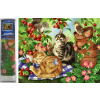 Norimpex Diamantové maľovanie Zvierací piknik 30 x 40 cm
