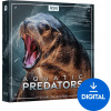 BOOM Library Aquatic Predators (Digitálny produkt)