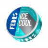 FEDRS Nikotinové sáčky Ice Cool Mint 55 mg/g 20 sáčků