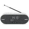 TechniSat DIGITRADIO BT 2 gray 0001/3973 reproduktor Bluetooth