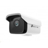 TP-Link Vigi C300HP-6