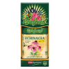 VitaHarmony Echinacea 500 mg - 90 tabliet