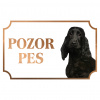 Anglický kokeršpaniel - Kovová tabuľka POZOR PES