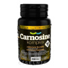 Carnosine komplex 900 mg SALUTEM tbl 1x60 ks