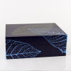 Zino Humidor SM graphic leaf red