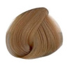 SCHWARZKOPF Igora Royal farba - fialovo béžová platinová blond 9,5-49