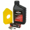 Olej do kosačky - Olejová sviečka filter Briggs Stratton Set (Olejová sviečka filter Briggs Stratton Set)