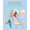 Anatomie omalovánky - Gray Henry Carter Henry