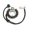 ELECTROSPORT ESG421 stator YAMAHA YFB 250 TIMBERWOLF (94-00), YFM 250 BEAR TRACKER (99-00)