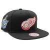 Detroit Red Wings - 2008 Stanley Cup Snapback NHL Šiltovka nastaviteľná
