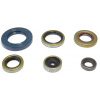 sada gufier motora, ATHENA P400270400047, KTM SX65 09-21, HUSQVARNA TC 65 17-21