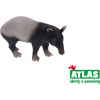 Atlas C Tapír 10,5 cm