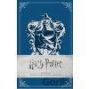 Harry Potter: Ravenclaw - Insight