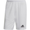 Adidas Pánské kraťasy Squadra 21 Short Bílé GN5774