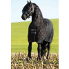 Deka stájová Rambo, hladká podšívka, 100 g, black/black & silver Délka zad: 130 cm