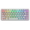 Dell Alienware Pro Wireless Gaming Keyboard 545-BBFR