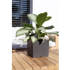 fleur ami GmbH Kvetináč DIVISION PLUS Plant Cube, 23x23/23 cm, antracitová