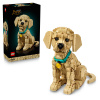 LEGO® Icons 11384 Šteňa zlatého retrievera