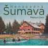 Nenápadná Šumava - kniha Přemysla Čecha