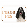 Anglický kokeršpaniel - Kovová tabuľka POZOR PES