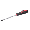 Veran Skrutkovač torx - t10x75