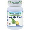 Planet Ayurveda AEGLE PLAN BILWA 60 kapsúl - trávenie, črevné infekcie