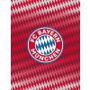 Carbotex Flísová deka BAYERN MüNCHEN