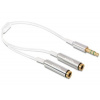 Delock 65355