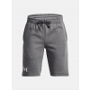 Under Armour UA RIVAL FLEECE LOGO SHORTS GRY