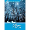 In the Sky + mp3 Pack - Kamini Khanduri