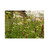 Lúka pre motýle - Planta Naturalis - lúčna zmes - 10 g