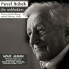 BOBEK PAVEL - VIC NEHLEDAM... (1CD)