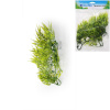 Unionstar Filodendron M 30 cm