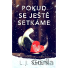 Pokud se ještě setkáme - L.J. Shen