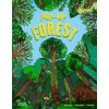 Pop-Up Forest - Bernard Duisit, Tom Vaillant (ilustrátor)
